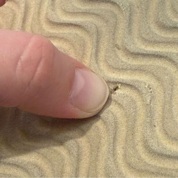 NWOT/NWOB Born Slippers - Women's Size S (5-6) or XL (11-12) - Tan, Faux Suede - Picture 4 of 10